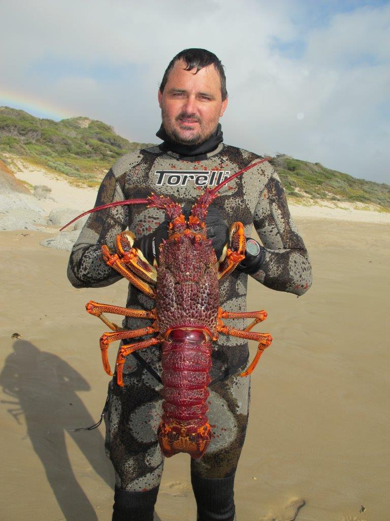 Mens 5.0mm Pangea Wetsuit