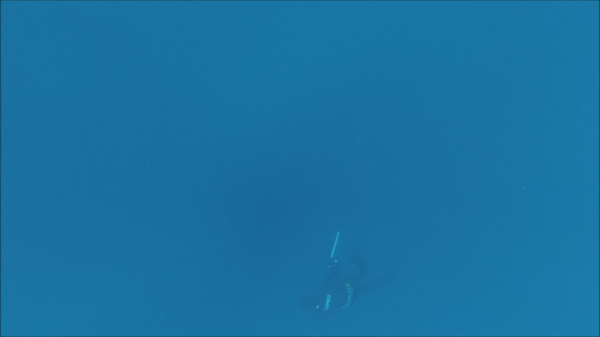 Torelli Spearfishing Australia