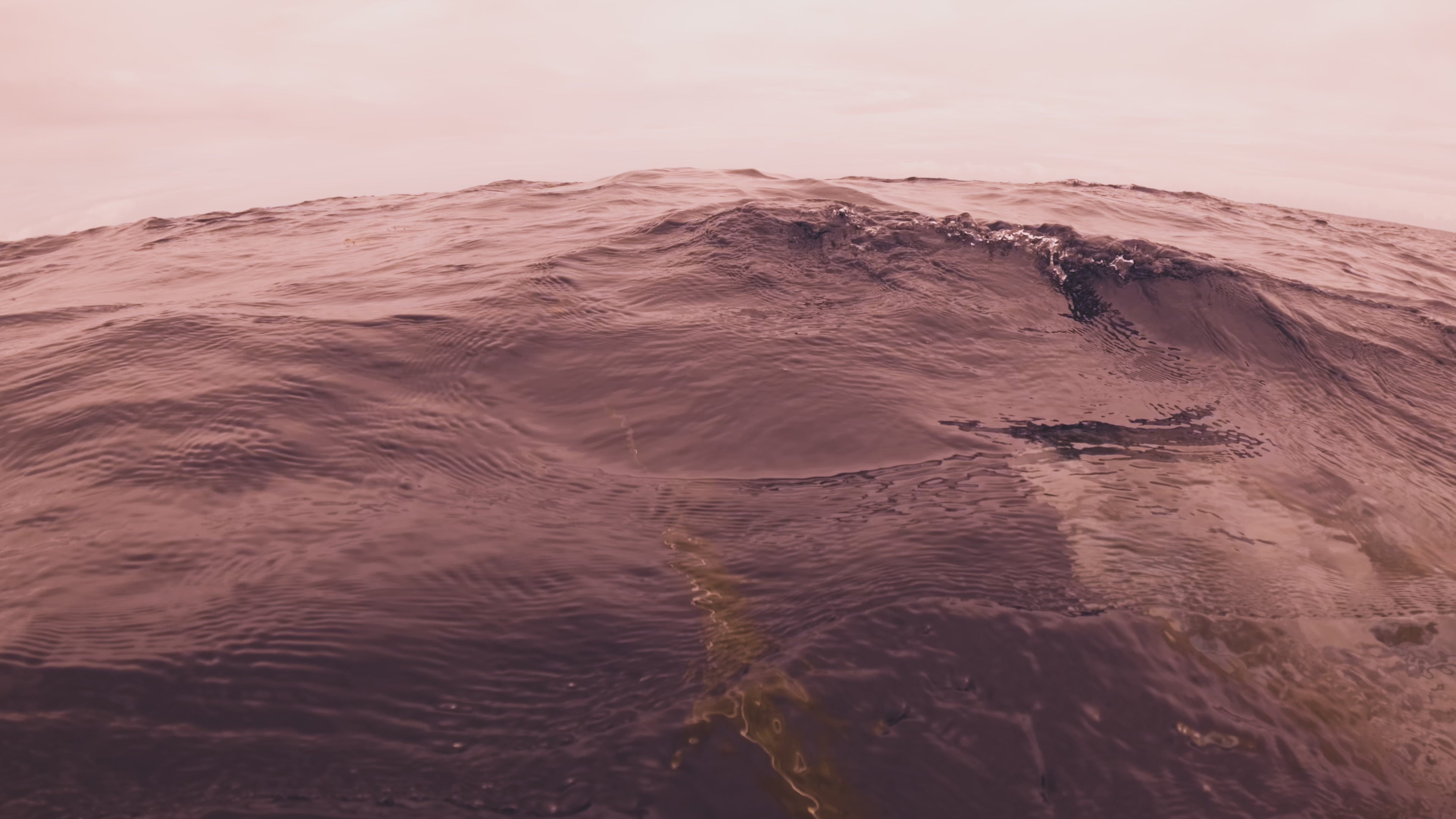 Torelli Spearfishing Australia